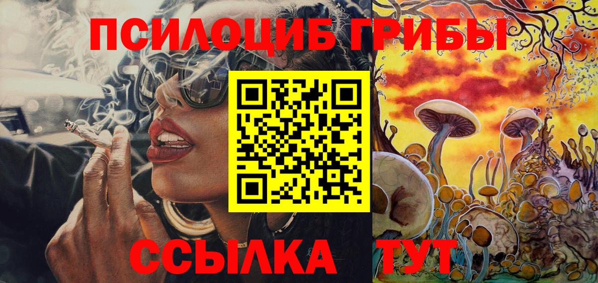 Псилоцибиновые грибы Psilocybine cubensis Мурино