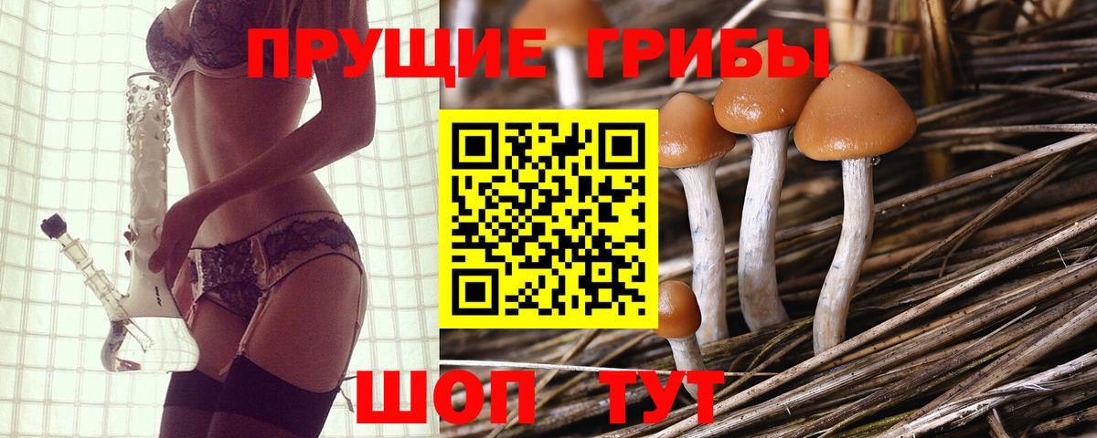 Галлюциногенные грибы мухоморы  Вход с VPN  Мурино 